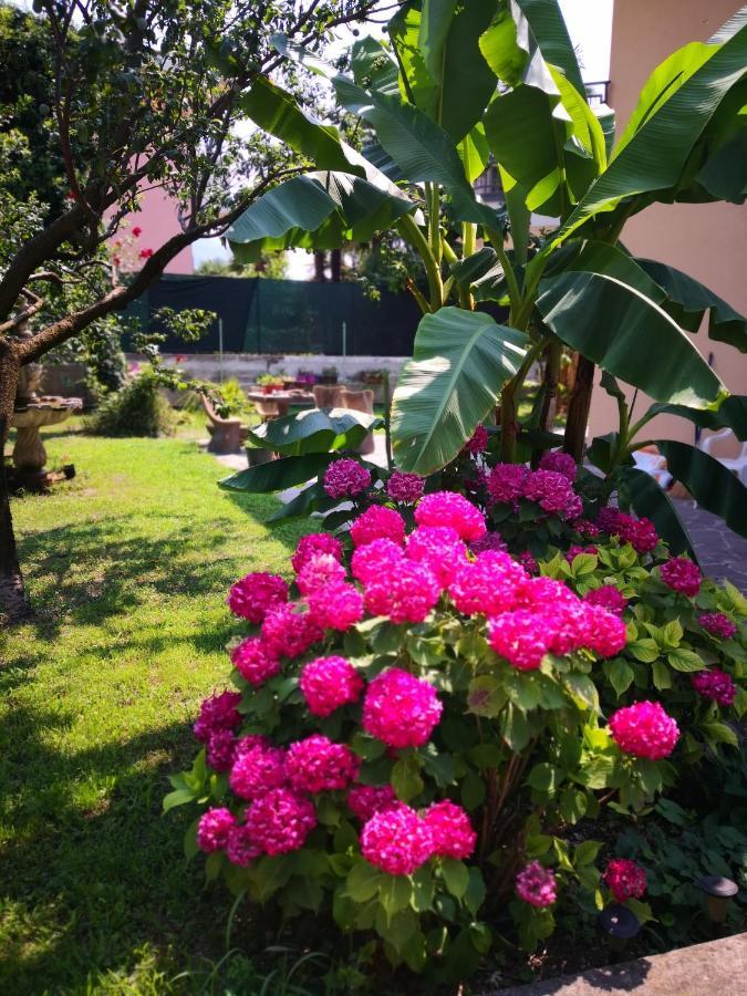 B&B Esmeralda Arco Exterior foto